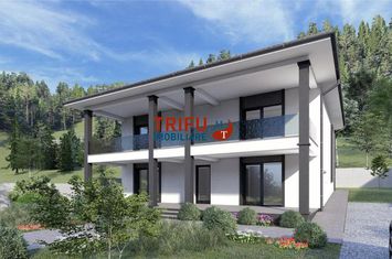 Vilă - 5 camere de vanzare CETATE - Alba anunturi imobiliare Alba