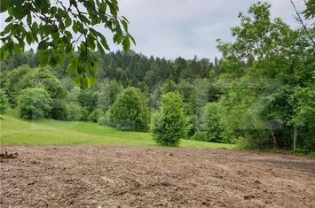 Teren de vanzare BUCIUM - Alba anunturi imobiliare Alba