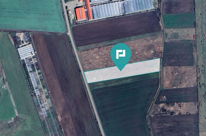 Teren arabil intravilan 10.333mp - Livada anunturi imobiliare Arad