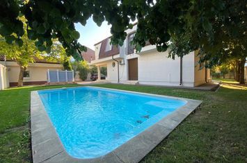 Villa with pool and generous garden, 1000 square meters, Iancu Nicolae area anunturi imobiliare Bucuresti
