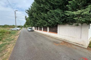 Teren Intravilan de vanzare VEST - Vrancea anunturi imobiliare Vrancea