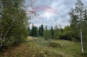 Teren extravilan parcelabil Călățele Pădure, zona Dealu Negru anunturi imobiliare Cluj