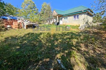 Casă - 4 camere de vanzare HARPASESTI - Iasi anunturi imobiliare Iasi