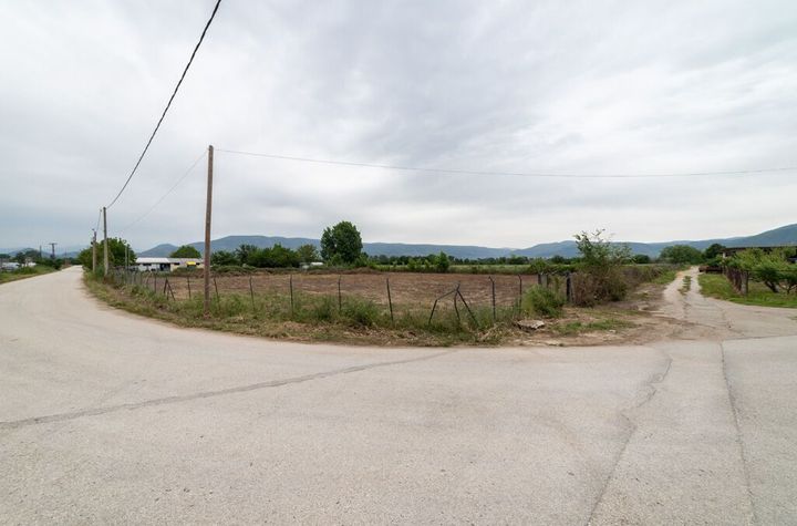 Teren construibil 4.190 mp în Dato, Kavala anunturi imobiliare Grecia