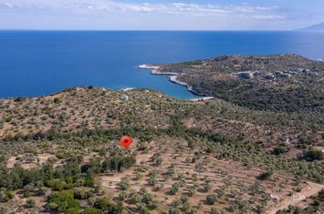 Teren construibil 10.610 mp în Astrida, Thassos anunturi imobiliare Grecia