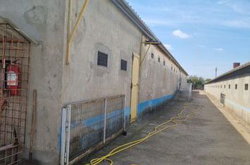 Spațiu industrial de vanzare CALARASI - Calarasi anunturi imobiliare Calarasi