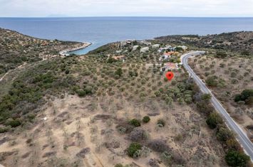 Teren construibil 4.919 mp în Astrida, Thassos anunturi imobiliare Grecia
