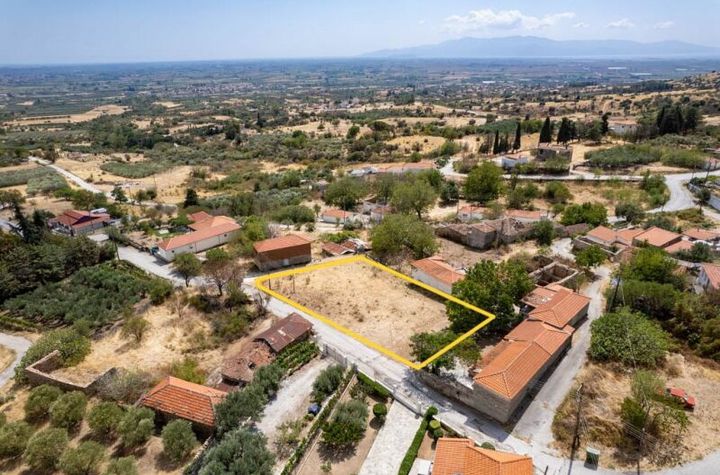 Teren construibil 798 mp în Ekali Nestos anunturi imobiliare Grecia