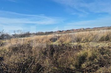 Teren de vanzare ODOREU - Satu Mare anunturi imobiliare Satu Mare