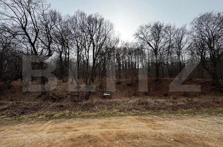 Teren de vanzare CETATE - Alba anunturi imobiliare Alba