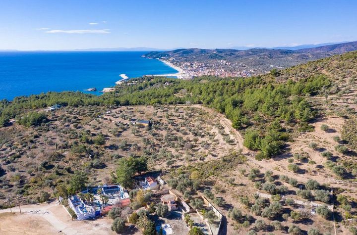 Teren construibil 7411 mp în Limenaria, Thassos anunturi imobiliare Grecia