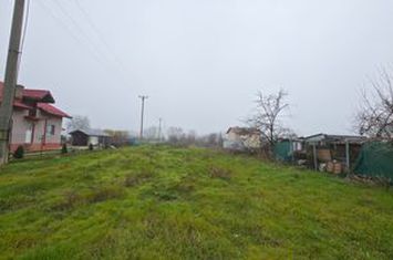 Teren intravilan de vânzare – Ciorogârla, Ilfov anunturi imobiliare Bucuresti