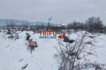 Teren Intravilan de vanzare CETATE - Alba anunturi imobiliare Alba