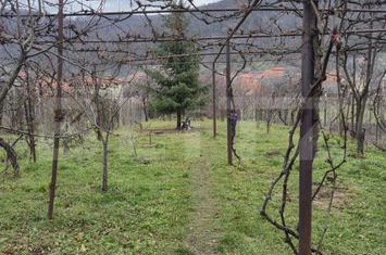 Casă - 5 camere de vanzare CUGIR - Alba anunturi imobiliare Alba