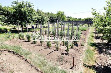 Teren intravilan 1.300 mp.zona Belvedere Targu Mures anunturi imobiliare Mures