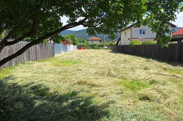 Teren de vanzare CRISTIAN - Brasov anunturi imobiliare Brasov