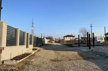 Teren Intravilan de vanzare MOGOSOAIA - Bucuresti anunturi imobiliare Bucuresti