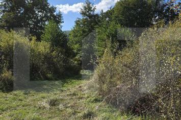 Teren de vanzare CLUJ-NAPOCA - Cluj anunturi imobiliare Cluj