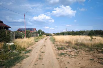 Teren de vanzare MALU MARE - Dolj anunturi imobiliare Dolj