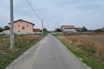 Teren Intravilan de vanzare COMUNA 1 DECEMBRIE - Bucuresti anunturi imobiliare Bucuresti