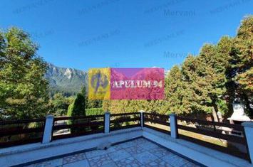 Vila de vanzare in Busteni - Zona Zamora anunturi imobiliare Prahova