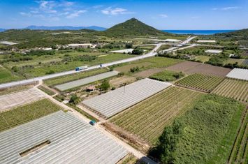 Teren agricol 2.700 mp, Nea Peramos anunturi imobiliare Grecia
