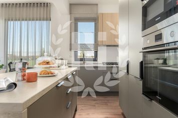 VILA DUPLEX 4 CAMERE anunturi imobiliare Bucuresti