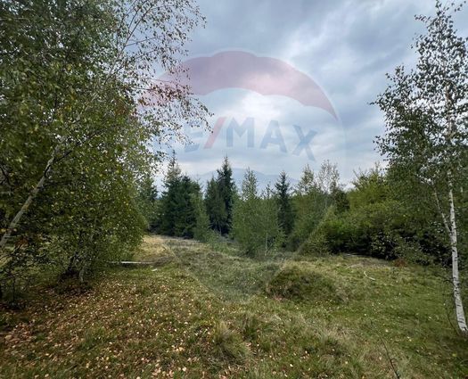 Teren Extravilan Calatele, 68607 mp