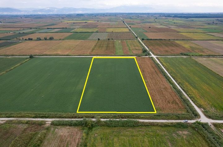 Teren agricol 16.459 mp în Monastiraki anunturi imobiliare Grecia