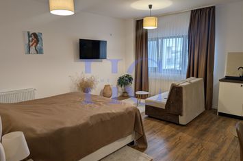 Garsonieră de inchiriat TURNISOR - Sibiu anunturi imobiliare Sibiu