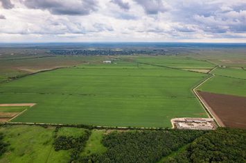 Teren Extravilan de vanzare HUSASAU DE TINCA - Bihor anunturi imobiliare Bihor