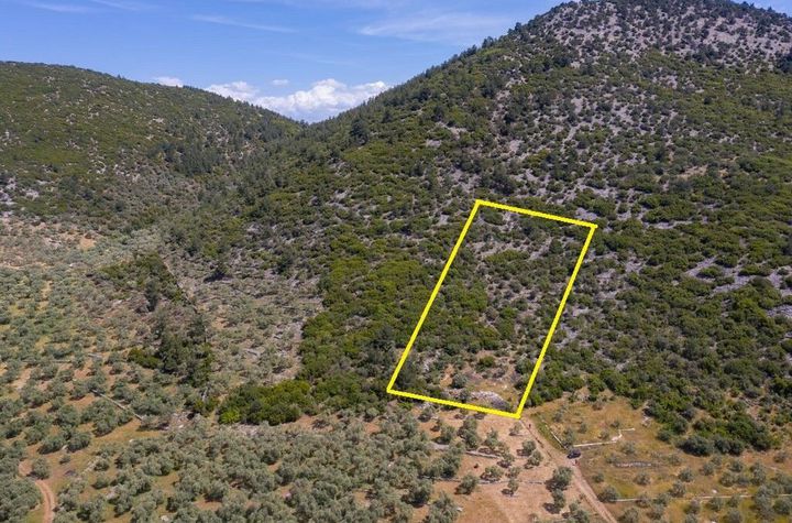 Teren 5662 mp în Rachoni, Thassos anunturi imobiliare Grecia