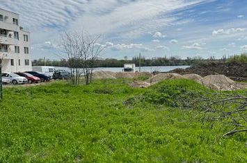 Complex Lebada Lake teren cu vedere la lac anunturi imobiliare Bucuresti