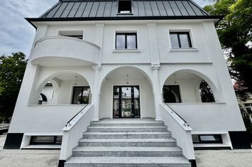 Vilă - 14 camere de inchiriat IASI - Iasi anunturi imobiliare Iasi