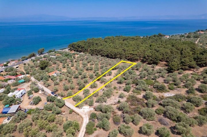 Teren 1028 mp în Skala Kallirachis, Thassos anunturi imobiliare Grecia