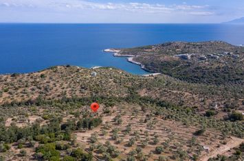 Teren construibil 10.610 mp în Astrida, Thassos anunturi imobiliare Grecia