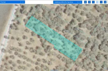 Teren 1.446 mp, 25 m de mare — Prinos, Thassos anunturi imobiliare Grecia