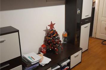 Garsonieră de vanzare SAGULUI - Timis anunturi imobiliare Timis