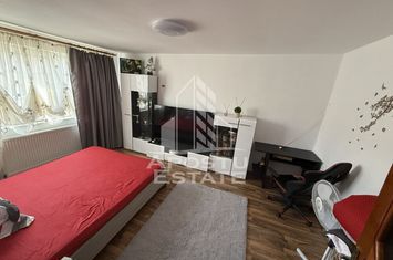 Apartament cu o camera, decomandat,mobilat si utilat,zona Buziasului anunturi imobiliare Timis