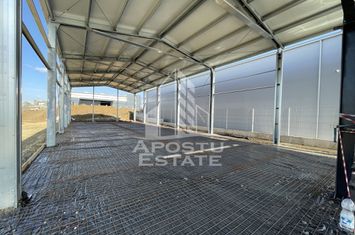 Hala + birouri, 590 mp, Giarmata anunturi imobiliare Timis