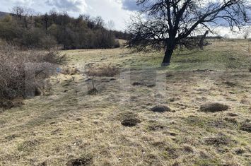 Teren de vanzare ZALAU - Salaj anunturi imobiliare Salaj