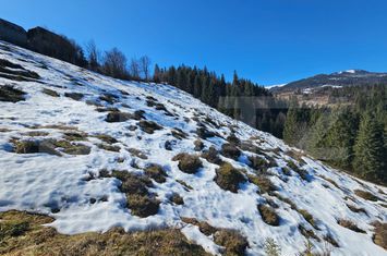 Teren de vanzare GALBENA - Alba anunturi imobiliare Alba