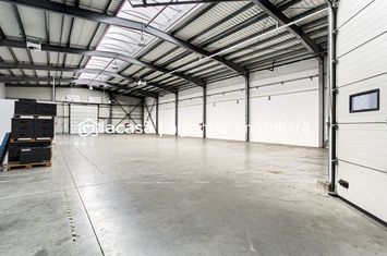 Hală industrială 727 mp Arad anunturi imobiliare Arad
