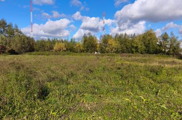 Teren de vanzare RADAUTI - Suceava anunturi imobiliare Suceava