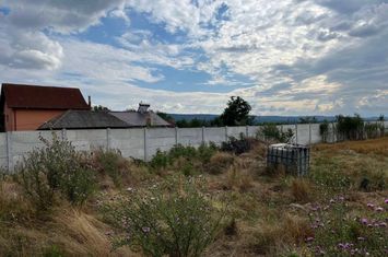 Teren de vanzare FILIASI - Dolj anunturi imobiliare Dolj