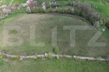 Teren de vanzare ALMASU MARE - Alba anunturi imobiliare Alba
