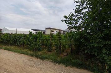 Teren Intravilan 550mp- Str Sf Agnes, oras Popesti Leordeni, regim inaltime zona P+2 anunturi imobiliare Bucuresti