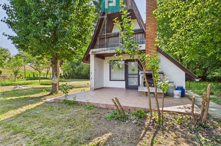 Căsuță de vacanță – cu POTENȚIAL DE INVESTIȚIE! anunturi imobiliare Arad