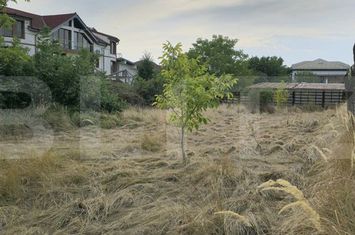 Teren de vanzare BARIERA VALCII - Dolj anunturi imobiliare Dolj