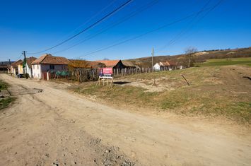 Teren de vanzare RUSI - Sibiu anunturi imobiliare Sibiu
